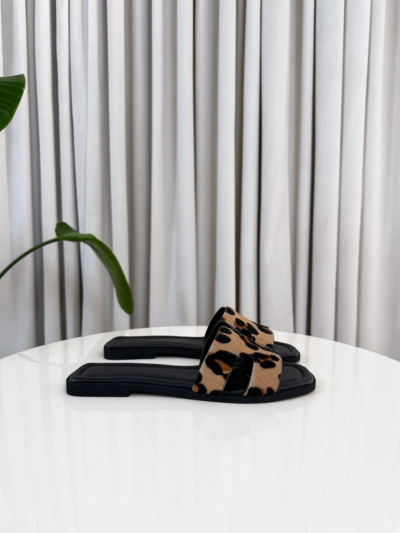 Greywood™ | LIMITED EDITION